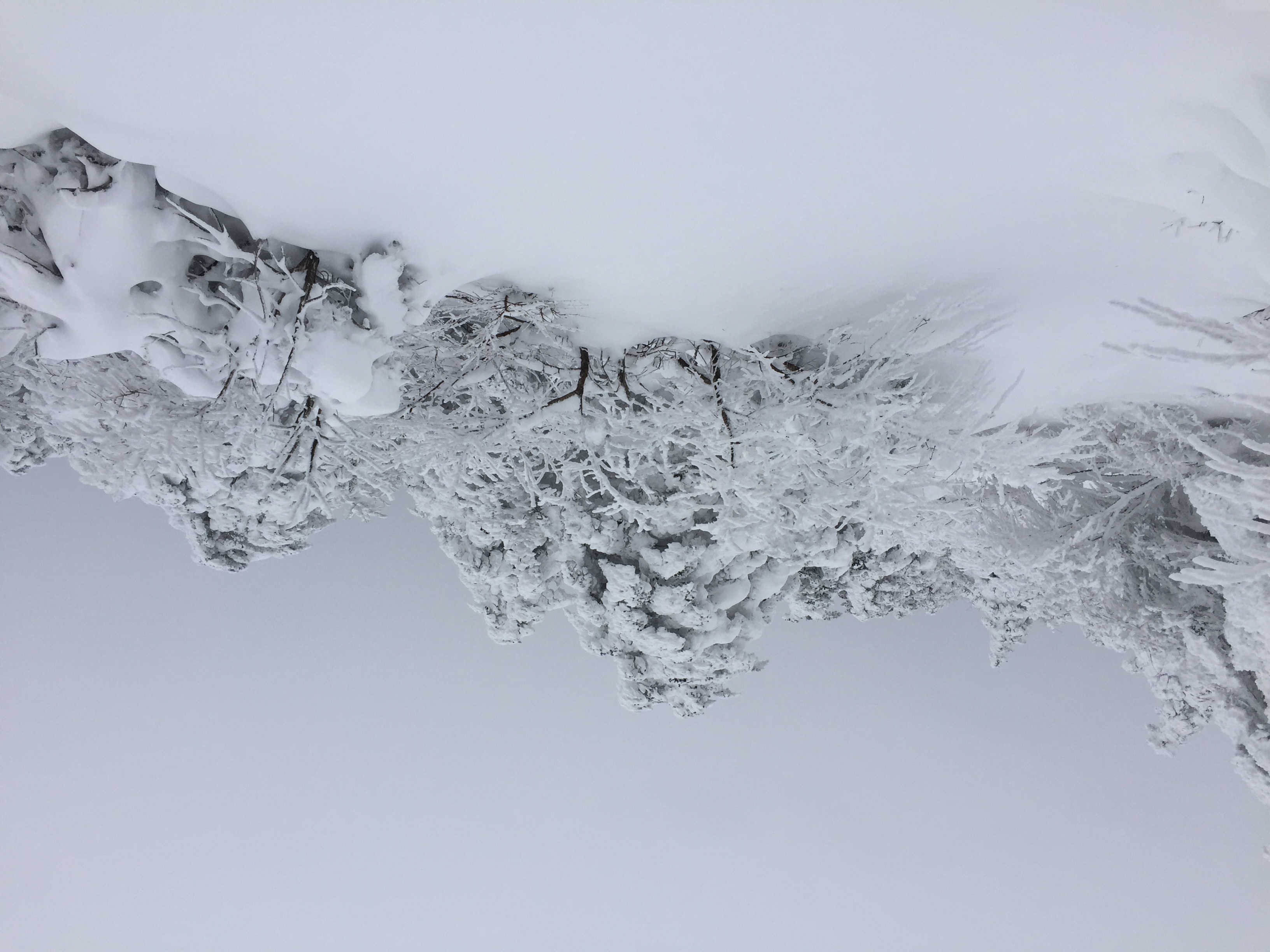 한라산 겨울 설경
